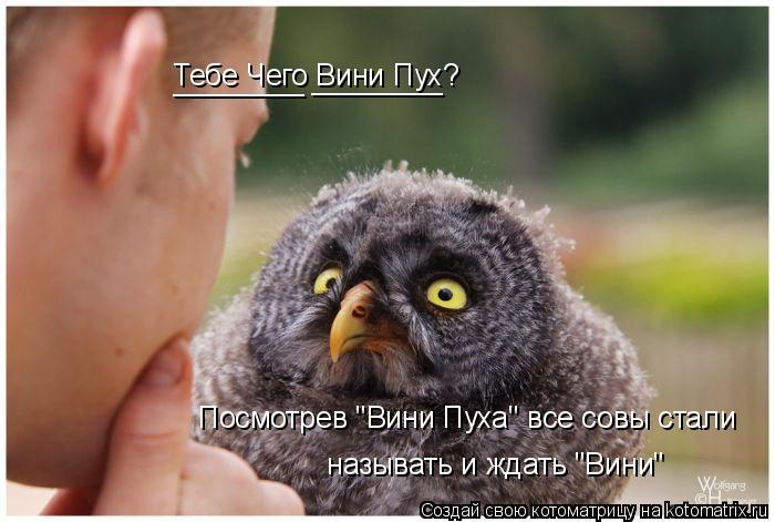 http://kotomatrix.ru/images/lolz/2010/02/16/489479.jpg