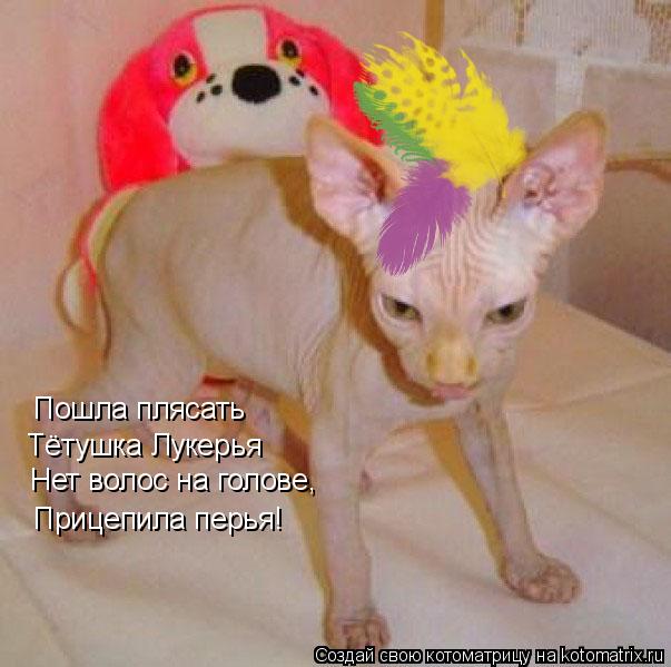 Нет волос на голове, Прицепила перья! Пошла плясать Тётушка Лукерья... Котоматрица: Нет волос на голове, Прицепила перья! Пошла плясать Тётушка Лукерья