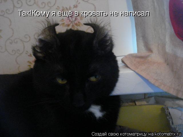 Так!Кому я ещё в кровать не написал... Котоматрица: Так!Кому я ещё в кровать не написал