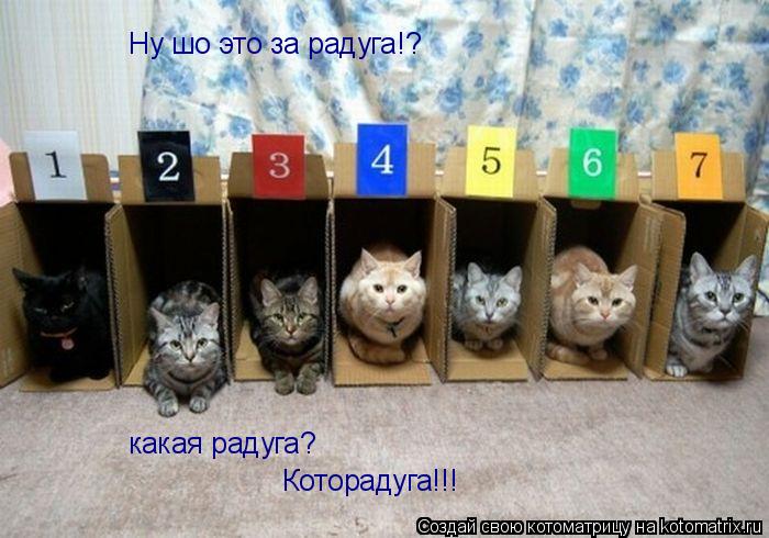 Ну шо это за радуга!? какая радуга? Которадуга!!!... Котоматрица: Ну шо это за радуга!? какая радуга? Которадуга!!!