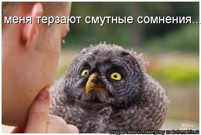 меня терзают смутные сомнения...... Котоматрица: меня терзают смутные сомнения...