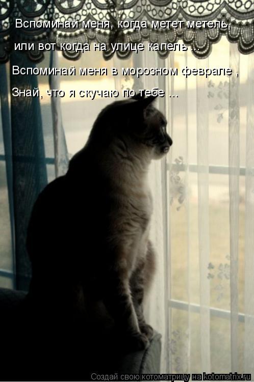 Вспоминай меня, когда метет метель, или вот когда на улице капель ... Вспоминай меня в морозном февра... Котоматрица: Вспоминай меня, когда метет метель, или вот когда на улице капель ... Вспоминай меня в морозном феврале , Знай, что я скучаю по тебе ...