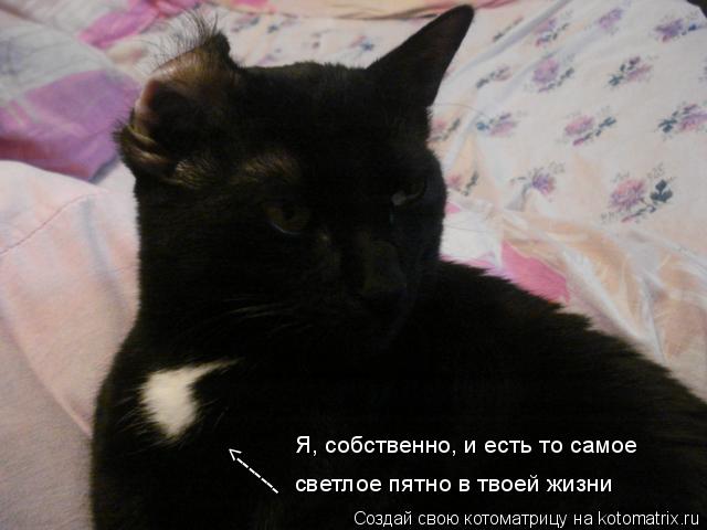 <------- Я, собственно, и есть то самое светлое пятно в твоей жизни... Котоматрица: <------- Я, собственно, и есть то самое светлое пятно в твоей жизни