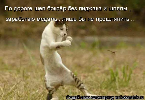 По дороге шёл боксёр без пиджака и шляпы , заработаю медаль . лишь бы не прошляпить ...... Котоматрица: По дороге шёл боксёр без пиджака и шляпы , заработаю медаль . лишь бы не прошляпить ...