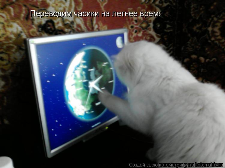 Переводим часики на летнее время ...... Котоматрица: Переводим часики на летнее время ...