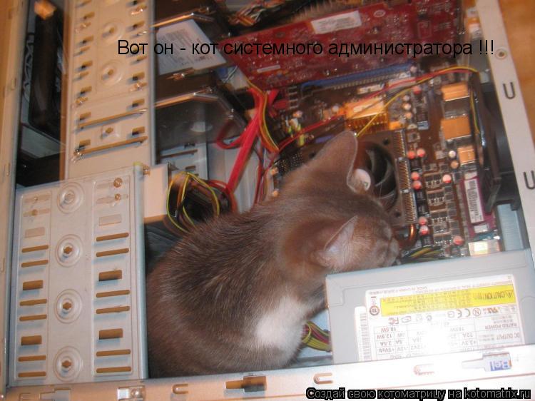 Вот он - кот системного администратора !!!... Котоматрица: Вот он - кот системного администратора !!!