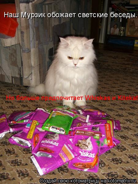 Наш Мурзик обожает светские беседы. Но больше предпочитает Whiskas и Kitekat.... Котоматрица: Наш Мурзик обожает светские беседы. Но больше предпочитает Whiskas и Kitekat.