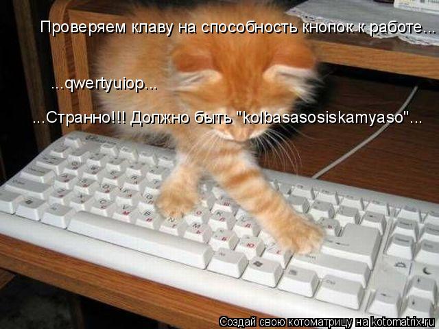 Проверяем клаву на способность кнопок к работе... ...qwertyuiop... ...Странно!!! Должно быть "kolbasa... Котоматрица: Проверяем клаву на способность кнопок к работе... ...qwertyuiop... ...Странно!!! Должно быть "kolbasasosiskamyaso"...