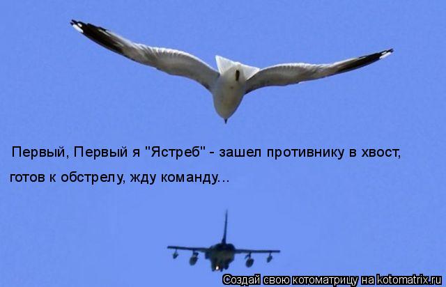 Первый, Первый я "Ястреб" - зашел противнику в хвост, готов к обстрелу, жду команду...... Котоматрица: Первый, Первый я "Ястреб" - зашел противнику в хвост, готов к обстрелу, жду команду...