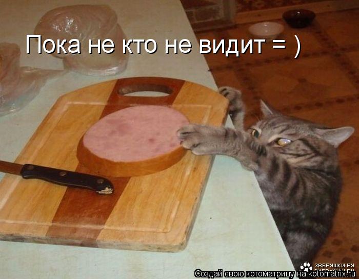 Пока не кто не видит = )... Котоматрица: Пока не кто не видит = )