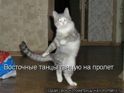 Восточные танцы танцую на пролет !... Котоматрица: Восточные танцы танцую на пролет !