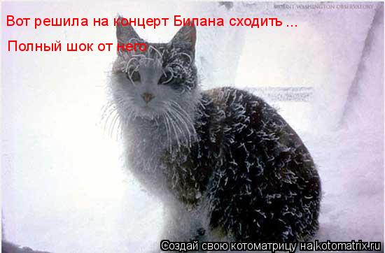Вот решила на концерт Билана сходить Полный шок от него ...... Котоматрица: Вот решила на концерт Билана сходить Полный шок от него ...