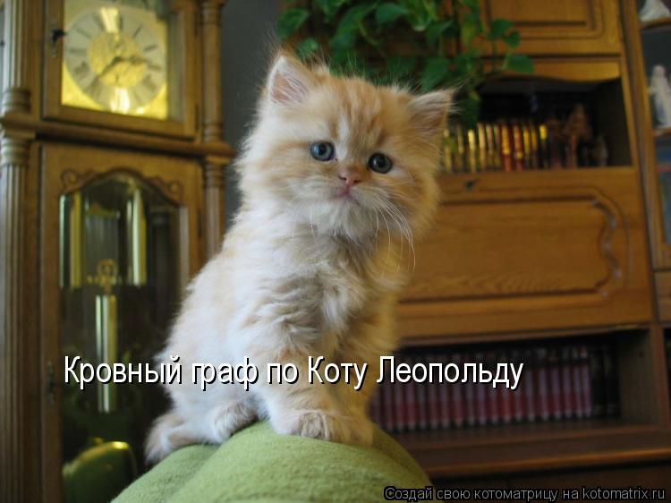 Кровный граф по Коту Леопольду... Котоматрица: Кровный граф по Коту Леопольду