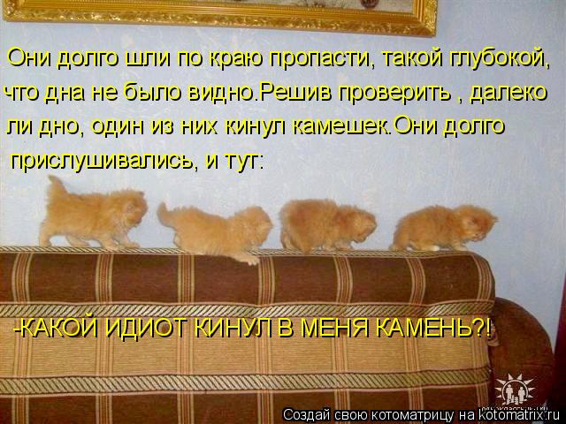 Котоматрица: Они долго шли по краю пропасти, такой глубокой,  что дна не было видно.Решив проверить , далеко ли дно, один из них кинул камешек.Они долго при