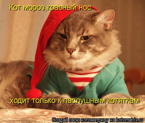 Кот мороз,красный нос ходит только к паслушным котяткам... Котоматрица: Кот мороз,красный нос ходит только к паслушным котяткам