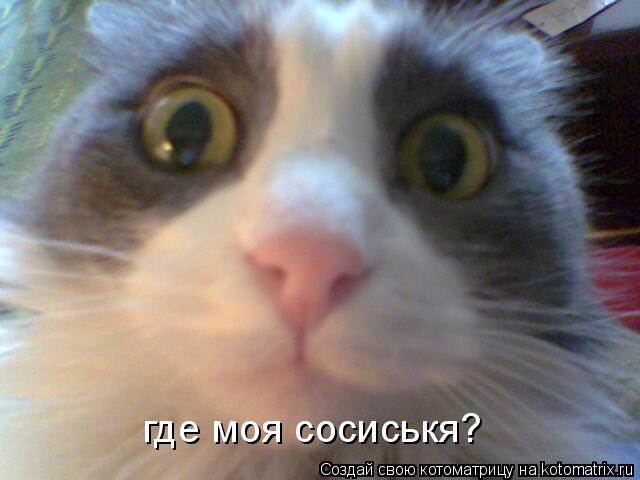 где моя сосиськя?... Котоматрица: где моя сосиськя?