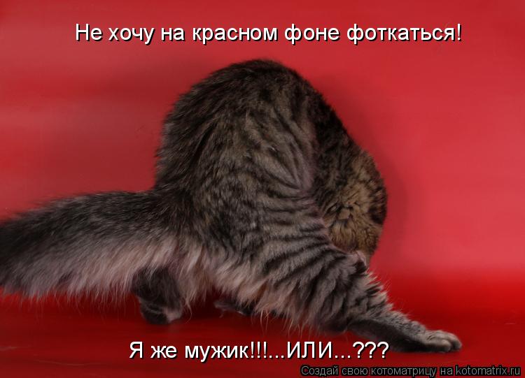 Не хочу на красном фоне фоткаться! Я же мужик!!!...ИЛИ...???... Котоматрица: Не хочу на красном фоне фоткаться! Я же мужик!!!...ИЛИ...???