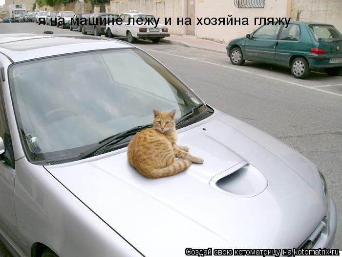 я на машине лежу и на хозяйна гляжу... Котоматрица: я на машине лежу и на хозяйна гляжу