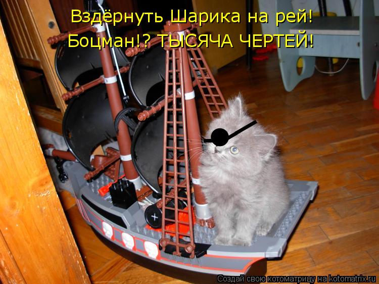 ● - __ Вздёрнуть Шарика на рей! Боцман!? ТЫСЯЧА ЧЕРТЕЙ!... Котоматрица: ● - __ Вздёрнуть Шарика на рей! Боцман!? ТЫСЯЧА ЧЕРТЕЙ!