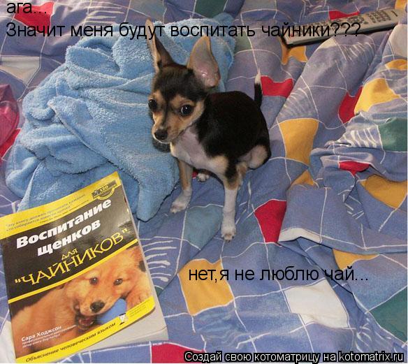 ага... Значит меня будут воспитать чайники??? нет,я не люблю чай...... Котоматрица: ага... Значит меня будут воспитать чайники??? нет,я не люблю чай...