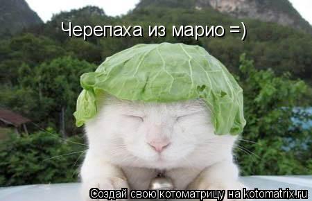 Котоматрица: Черепаха из марио =)