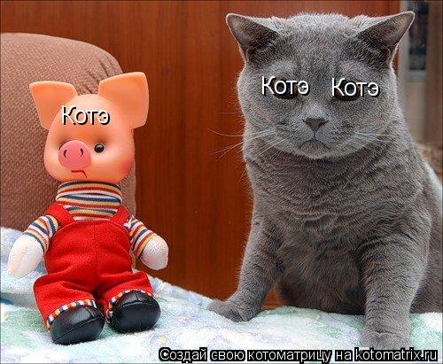 Котэ Котэ Котэ... Котоматрица: Котэ Котэ Котэ