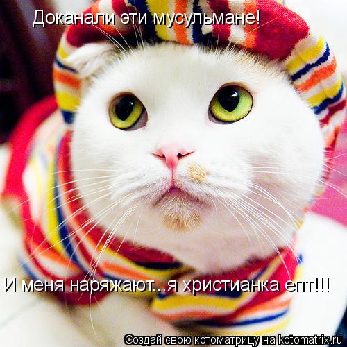 Доканали эти мусульмане! И меня наряжают...я христианка епт!!!... Котоматрица: Доканали эти мусульмане! И меня наряжают...я христианка епт!!!