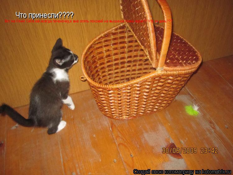 Котоматрица: Что принесли???? Что принесли???? Вот же блин! Себе как всегда печеночку,а мне опять похожий на мышиное говно корм!!!! Что за день??? Вот же блин! С