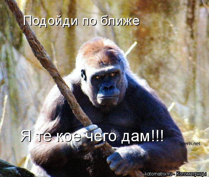 Котоматрица: Подойди по ближе Я те кое чего дам!!!