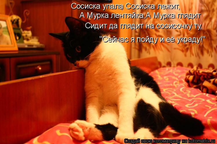 Котоматрица: , Сосиска упала Сосиска лежит, А Мурка лентяйка,А Мурка глядит Сидит да глядит на сосисочку ту, "Сейчас я пойду и её украду!"