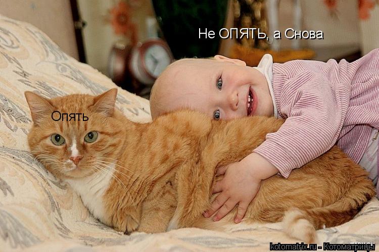 Опять Не ОПЯТЬ, а Снова... Котоматрица: Опять Не ОПЯТЬ, а Снова