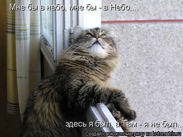 «Мне бы в небо, мне бы - в Небо,... здесь я был, а Там - я не был...... Котоматрица: «Мне бы в небо, мне бы - в Небо,... здесь я был, а Там - я не был...