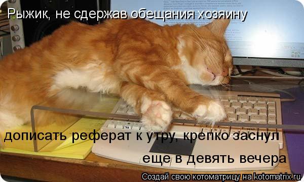 Рыжик, не сдержав обещания хозяину дописать реферат к утру, крепко заснул еще в девять вечера... Котоматрица: Рыжик, не сдержав обещания хозяину дописать реферат к утру, крепко заснул еще в девять вечера