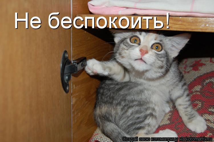 Не беспокоить!... Котоматрица: Не беспокоить!