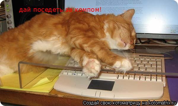 дай поседеть за компом!... Котоматрица: дай поседеть за компом!