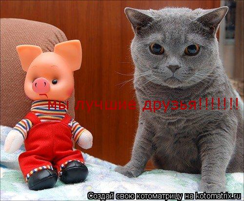 мы лучшие друзья!!!!!!!... Котоматрица: мы лучшие друзья!!!!!!!