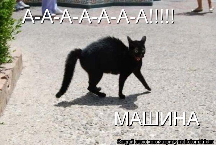 А-А-А-А-А-А-А!!!!! МАШИНА... Котоматрица: А-А-А-А-А-А-А!!!!! МАШИНА