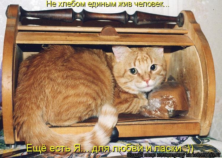 Не хлебом единым жив человек... Ещё есть Я... для любви и ласки :))... Котоматрица: Не хлебом единым жив человек... Ещё есть Я... для любви и ласки :))