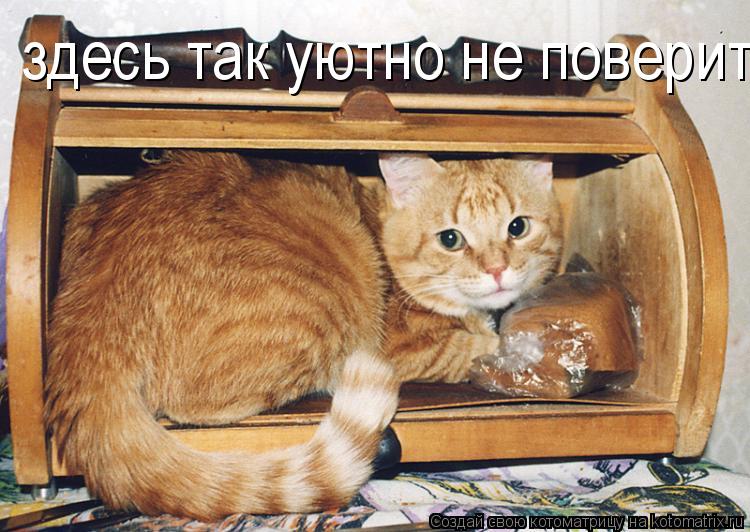 здесь так уютно не поверите... Котоматрица: здесь так уютно не поверите