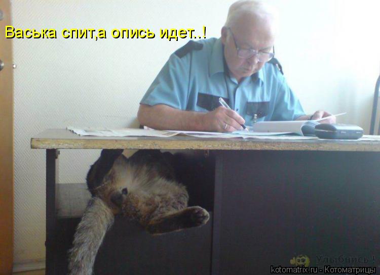 Васька спит,а опись идет..!... Котоматрица: Васька спит,а опись идет..!