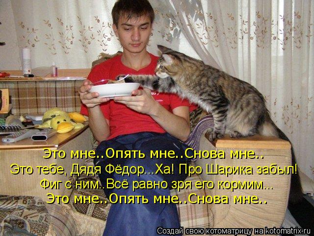 Котоматрица: Это мне..Опять мне..Снова мне.. Это тебе, Дядя Фёдор...Ха! Про Шарика забыл! Фиг с ним..Всё равно зря его кормим... Это мне..Опять мне..Снова мне..