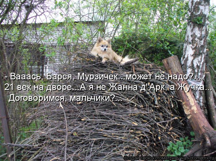 - Вааась, Барся, Мурзичек...может не надо?... 21 век на дворе...А я не Жанна д"Арк, а Жучка... Догово... Котоматрица: - Вааась, Барся, Мурзичек...может не надо?... 21 век на дворе...А я не Жанна д"Арк, а Жучка... Договоримся, мальчики?...