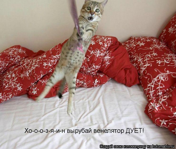 Хо-о-о-з-я-и-н вырубай венелятор ДУЕТ!... Котоматрица: Хо-о-о-з-я-и-н вырубай венелятор ДУЕТ!