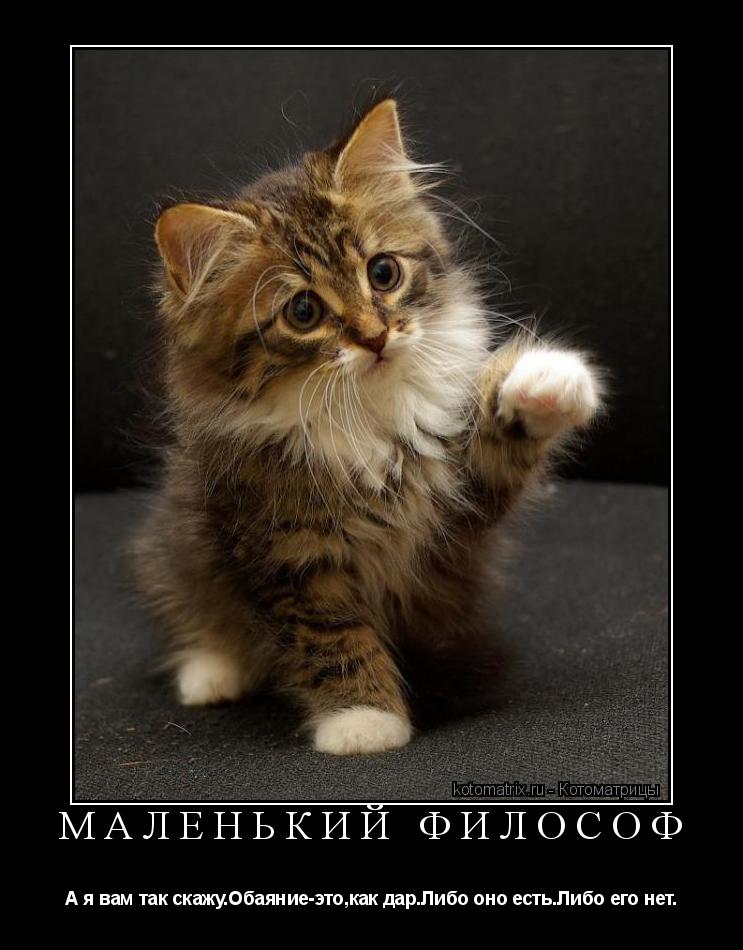 маленький философ А я вам так скажу.Обаяние-это,как дар.Либо оно есть.Либо его нет.... Котоматрица: маленький философ А я вам так скажу.Обаяние-это,как дар.Либо оно есть.Либо его нет.