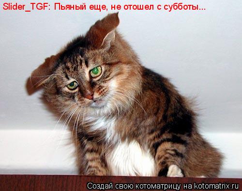 Slider_TGF: Пьяный еще, не отошел с субботы...... Котоматрица: Slider_TGF: Пьяный еще, не отошел с субботы...