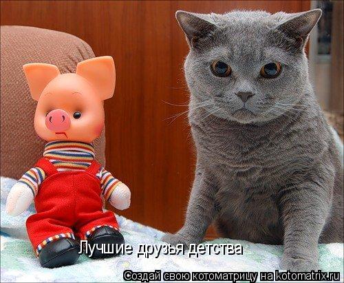 Лучшие друзья детства... Котоматрица: Лучшие друзья детства