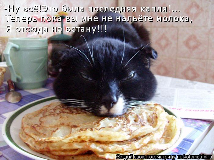 -Ну всё!Это была последняя капля!... Теперь пока вы мне не нальёте молока, Я отсюда не встану!!!... Котоматрица: -Ну всё!Это была последняя капля!... Теперь пока вы мне не нальёте молока, Я отсюда не встану!!!