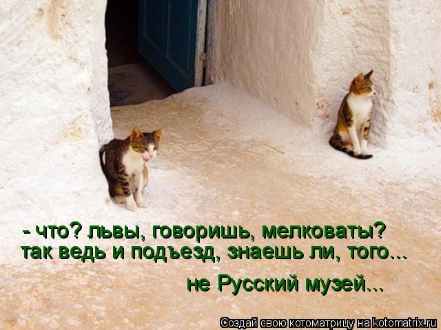 Котоматрица: - что? львы, говоришь, мелковаты? так ведь и подъезд, знаешь ли, того... не Русский музей...