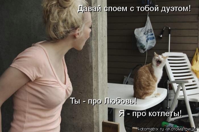 Давай споем с тобой дуэтом! Ты - про Любовь! Я - про котлеты!... Котоматрица: Давай споем с тобой дуэтом! Ты - про Любовь! Я - про котлеты!