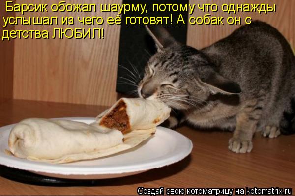 http://kotomatrix.ru/images/lolz/2010/02/17/490101.jpg